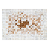 Real White Brown Cowhide Rug